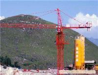 貴陽塔吊出租服務(wù)——重慶中建機械制造（貴州、云南片區(qū)）專業(yè)塔機租賃